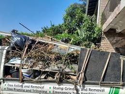 Professional Junk Removal Services in Issaquah, WA